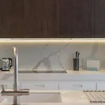 Luxury Old Town Penthouse W Park 公寓 布拉格