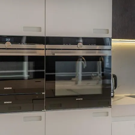 公寓 Luxury Old Town Penthouse W Park 布拉格