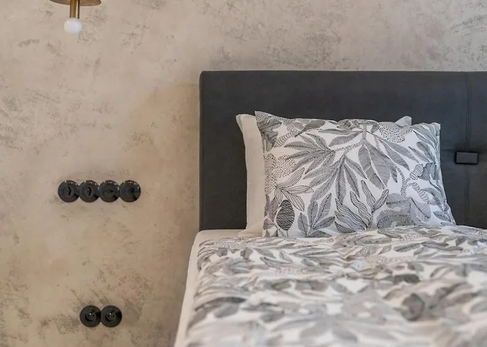 Luxury Old Town Penthouse W Park 公寓